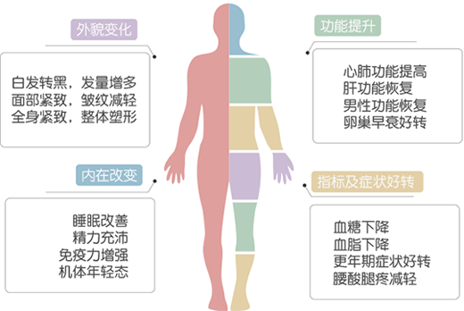 荷尔蒙补充疗法